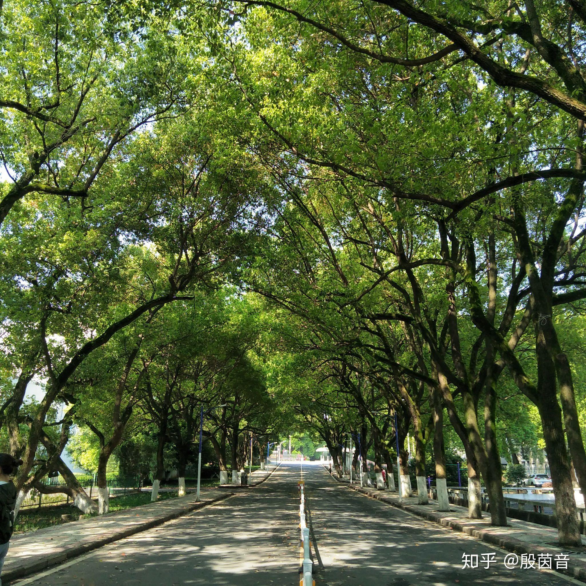 在衡陽師範學院南嶽學院就讀是怎樣的一種體驗