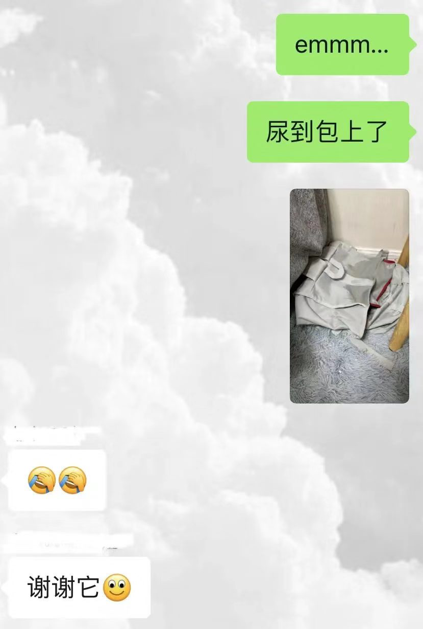 小貓咪真的會因為報復尿床嗎