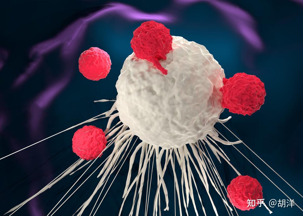 抗癌新方法 ！科学家发明分子纤维网可由内而外杀死癌细胞_新浪新闻