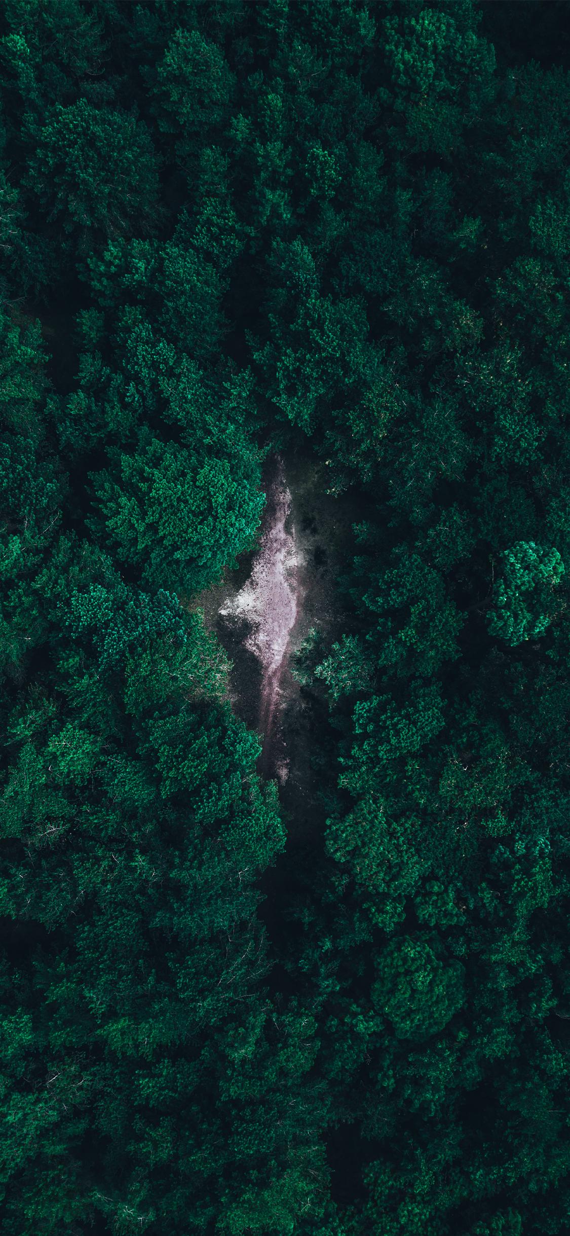 有哪些适合iphone 11用的高清壁纸?