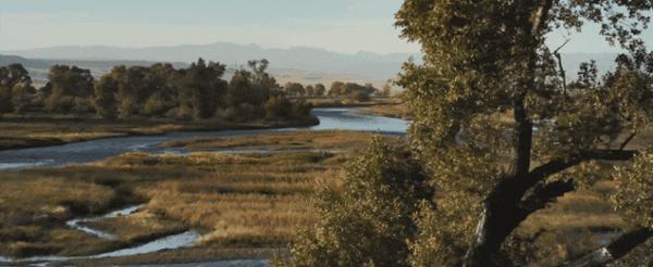 《麦迪逊河谷》豆瓣8.3！“黄石宇宙”新作来袭