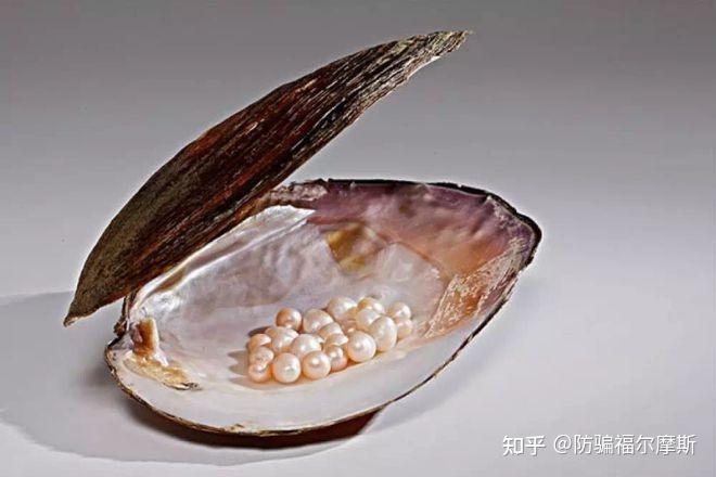 直播间开蚌被骗怎么办?直播开蚌取珍珠骗局揭秘,抓紧时间维权! - 知乎