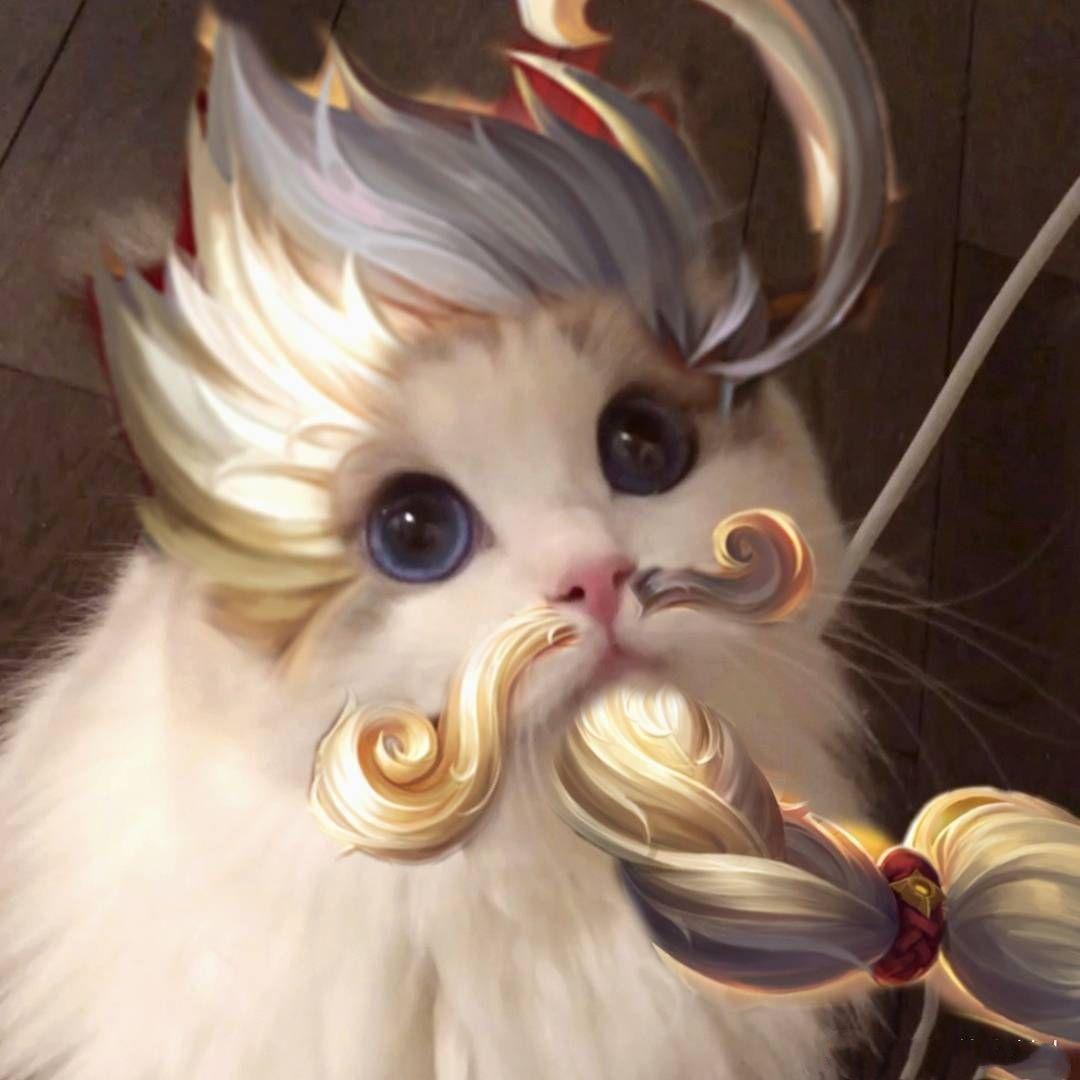 谁有王者荣耀最近非常火的猫咪接头的呀