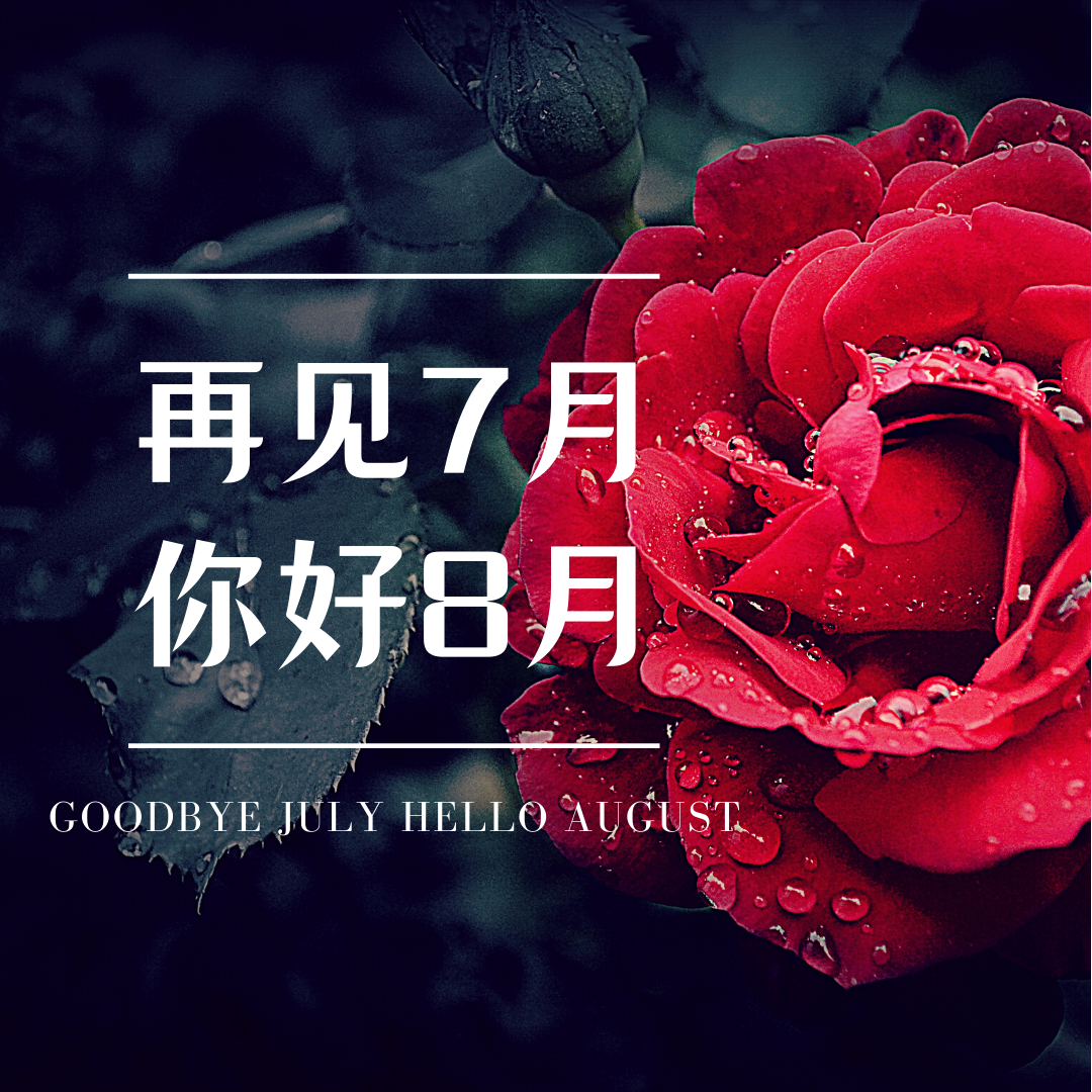 七月再见,八月你好的励志发朋友圈的文案!(海报水印已去除)
