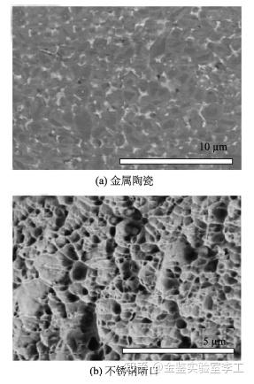 扫描电镜（sem）的基本原理、构造、优势以及在实际中的应用 知乎 