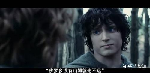 《指环王》勇者山姆：我不能替你背负这个重担，但我可以背你！ - 知乎