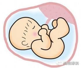 v2-702d909549d1bb4b5069ca280d0a765a_1440w.jpg?source=172ae18b