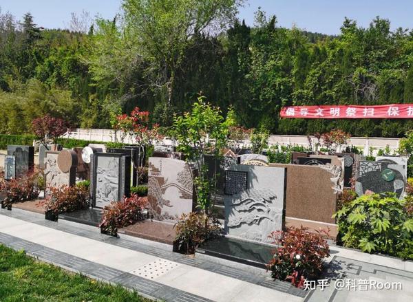 公墓有效期只有20年?如果死后无人续费,骨灰该何去何从? - 知乎