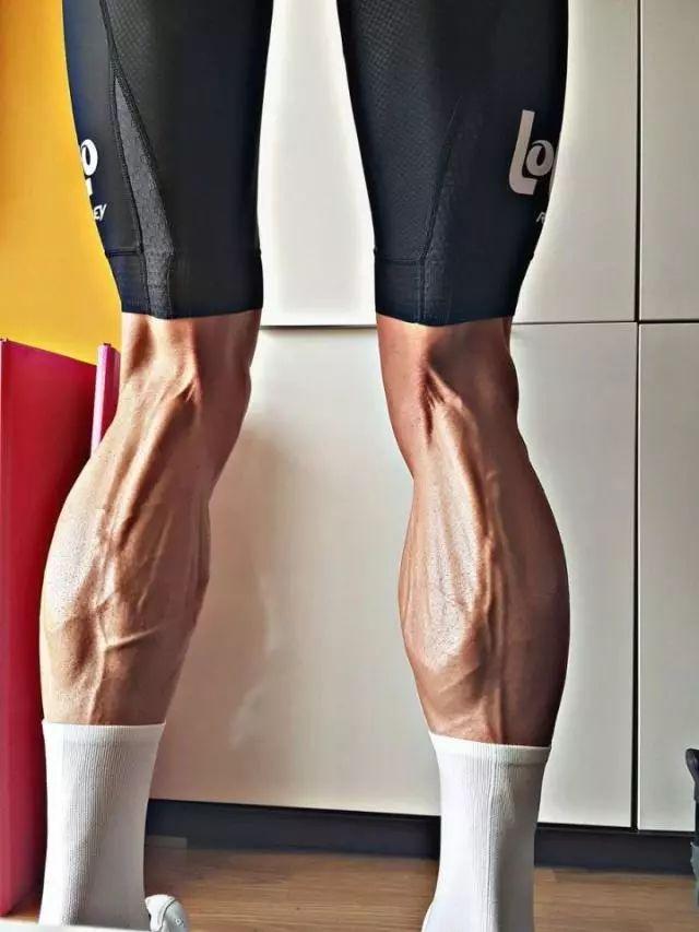 肌肉腿长什么样子图片图片