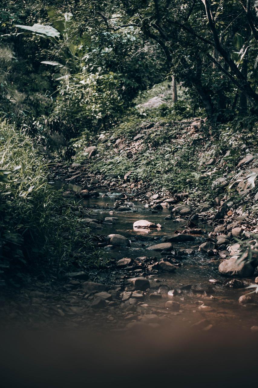 润江是什么关系