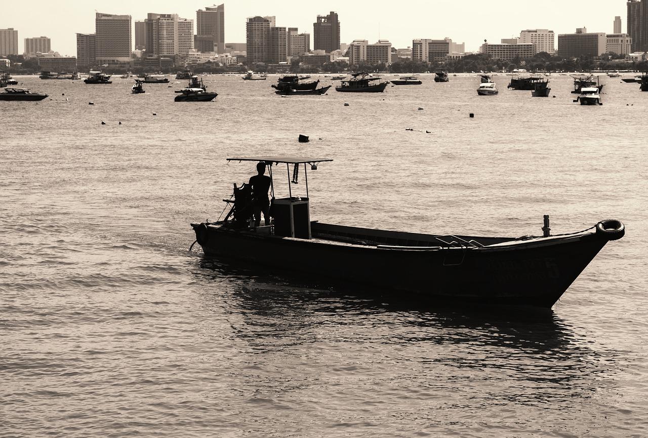 5. 投资潜力分析