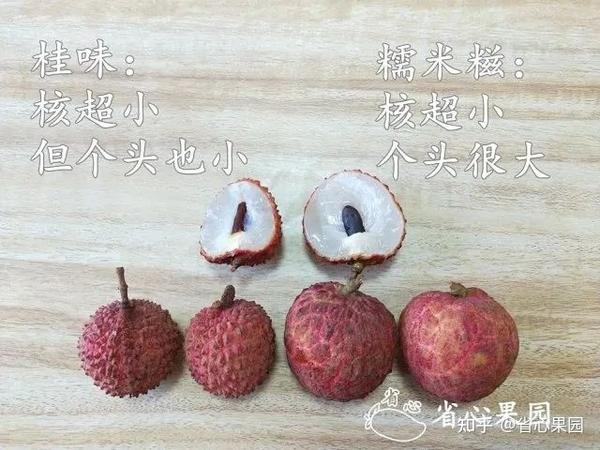 2022全国好吃的荔枝品种排名:看完这篇,买荔枝不再踩坑 - 知乎