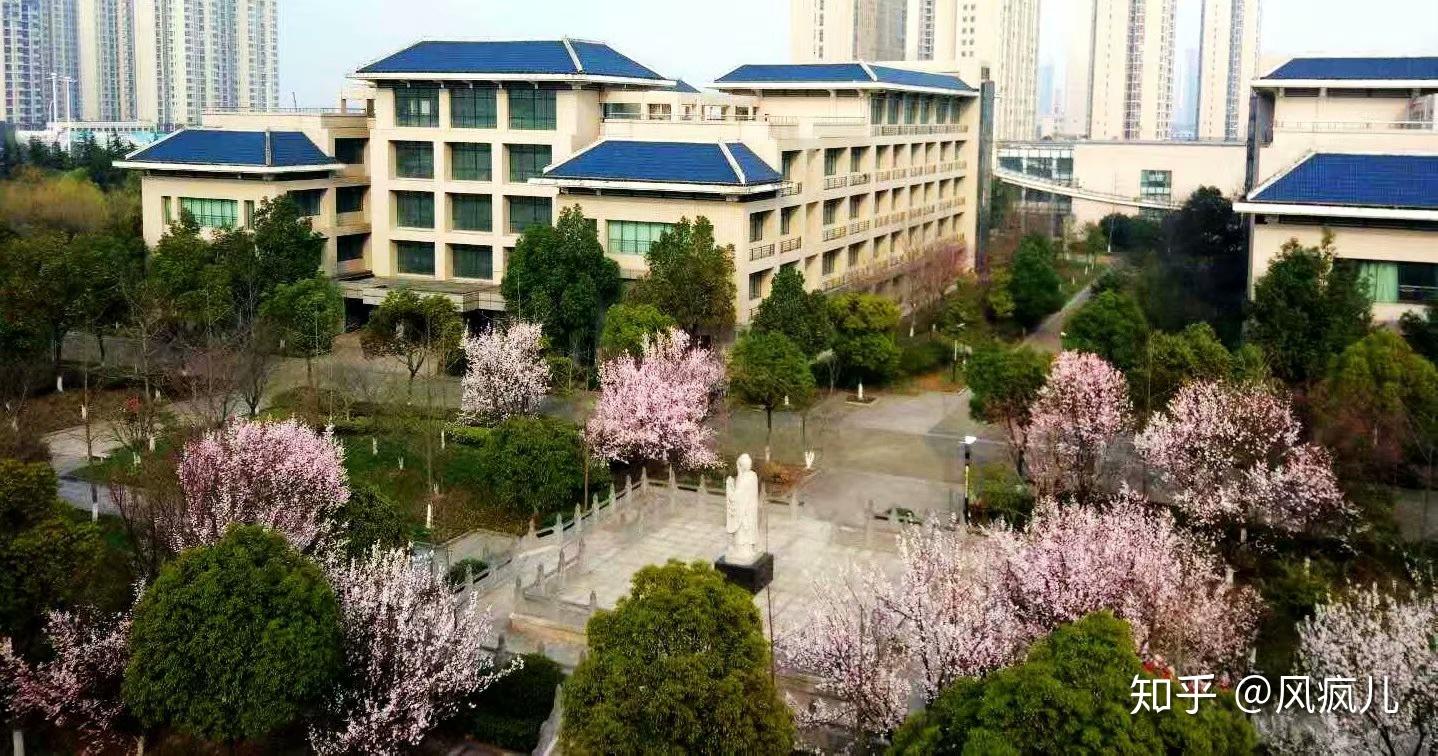 襄阳市第五中学图片