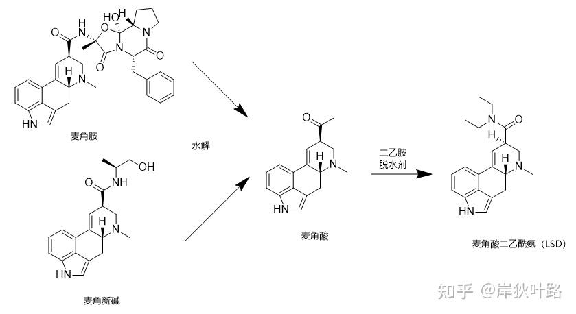 这几个麦角类化合物都是因为被滥用于制作有名的致幻剂lsd(麦角酸二