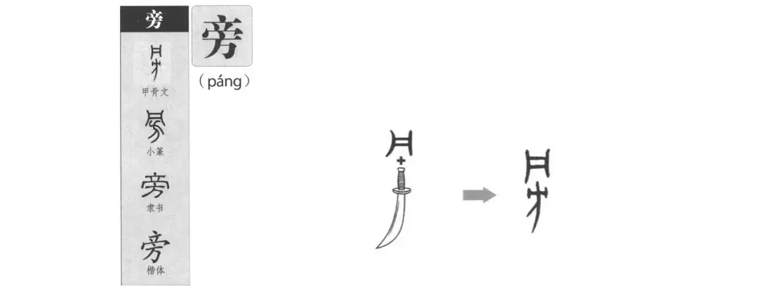 《重拾汉字》之 “ 旁 ” - 知乎