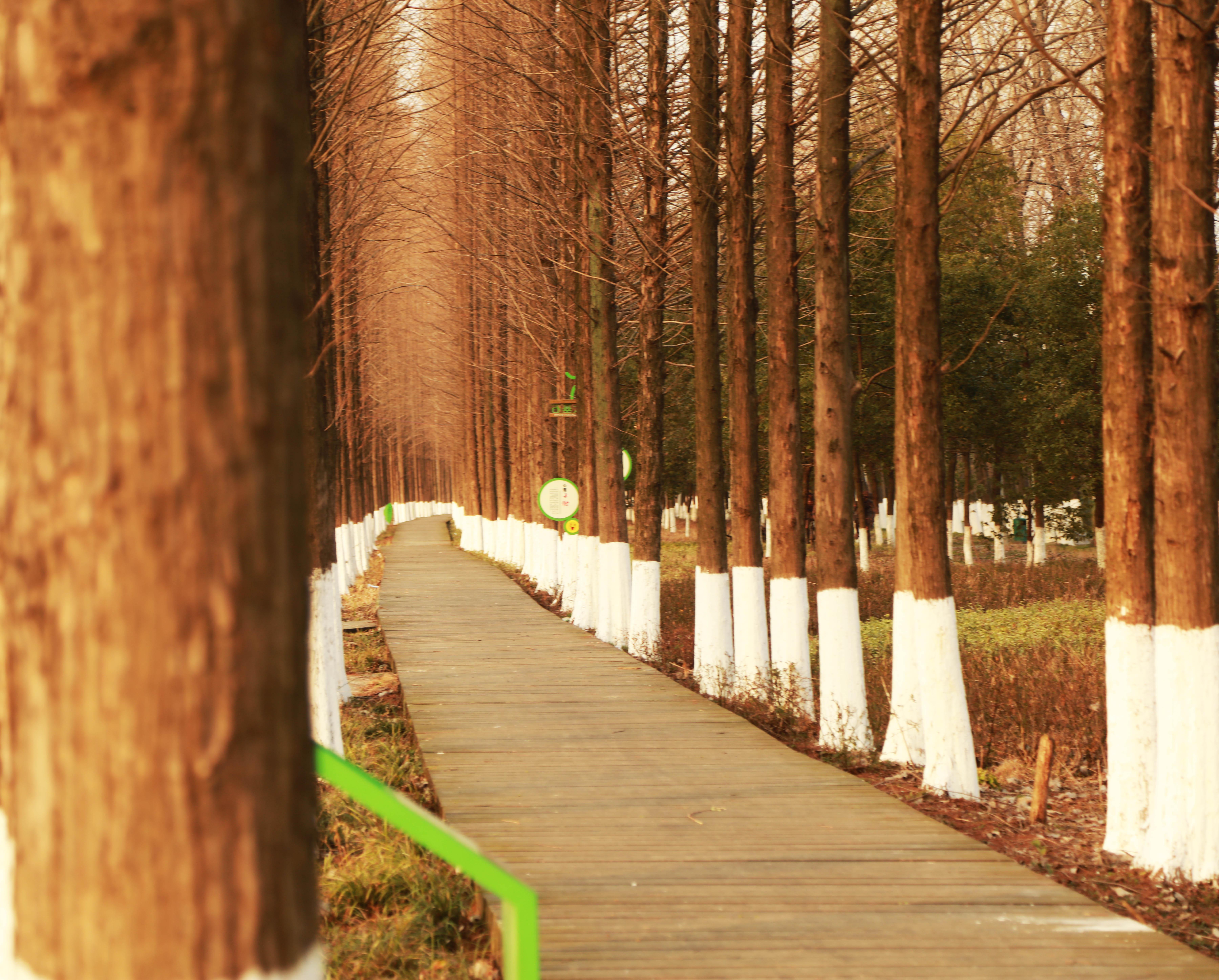 摄影构图对角线