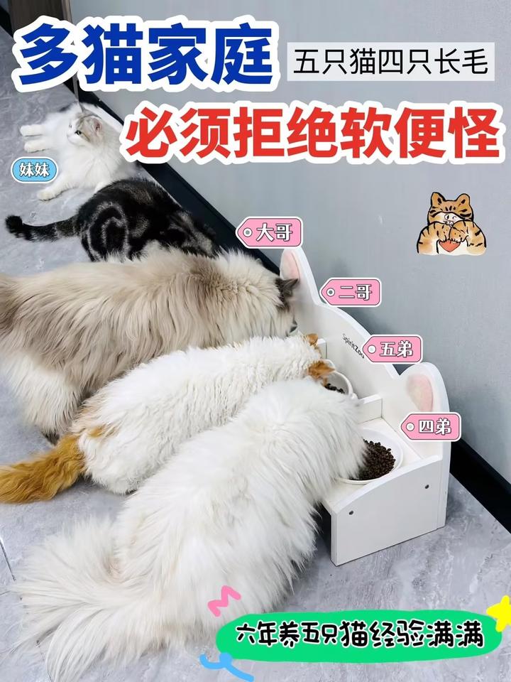 六年养五只猫🐈告诉你如何拒绝软便怪‼‼ - 知乎