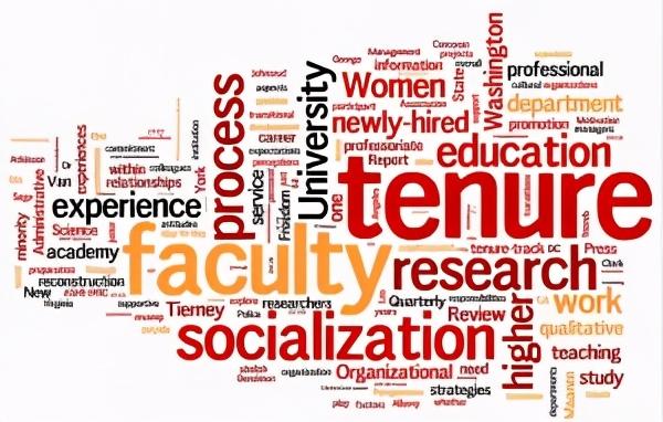 美国的tenure track