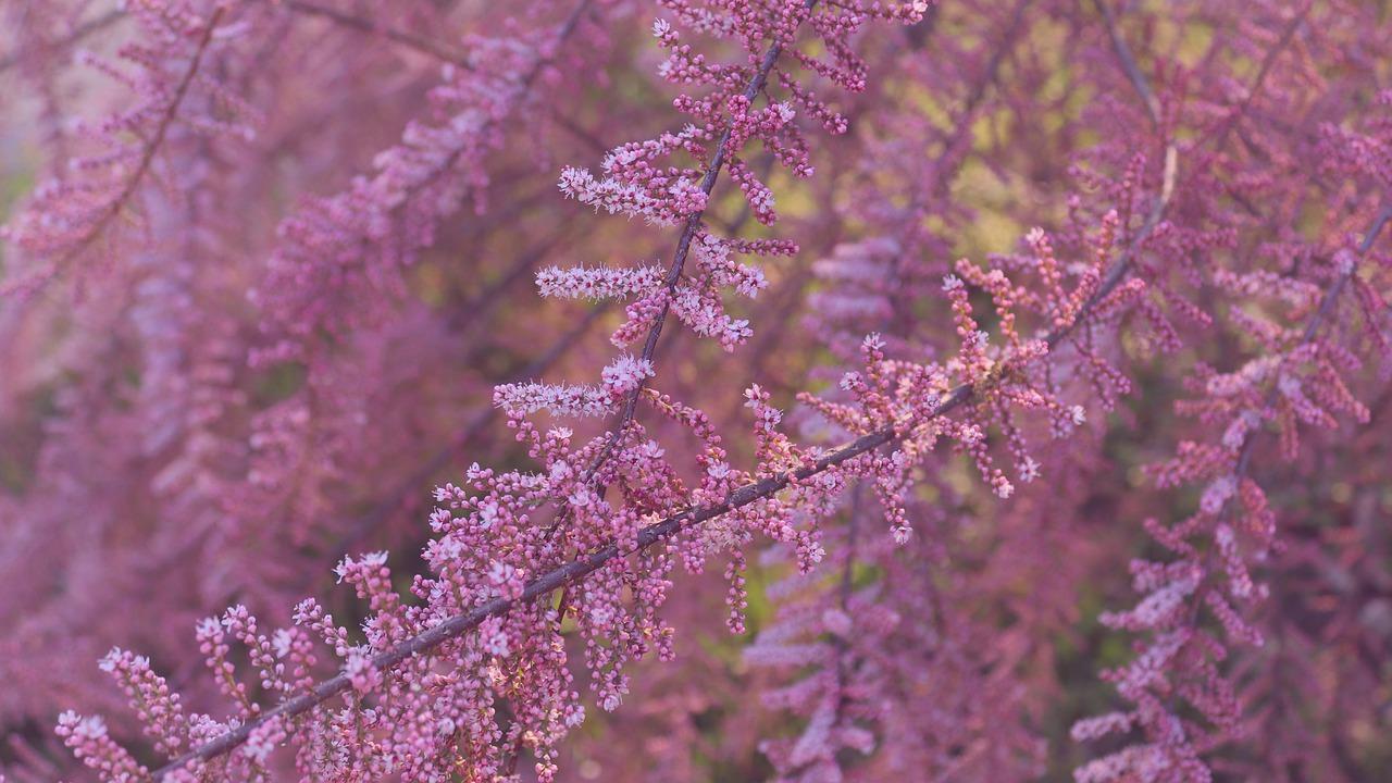 3. 户型设计人性化