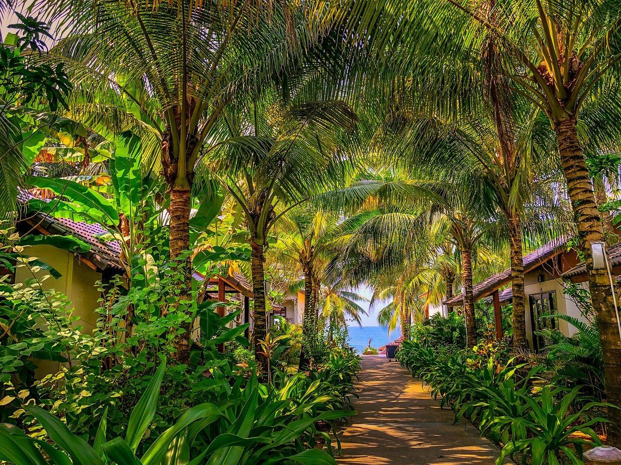 河源特色美食指南