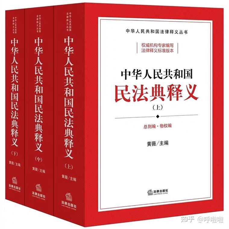 中华人民共和国民法典释义 黄薇PDF - 知乎