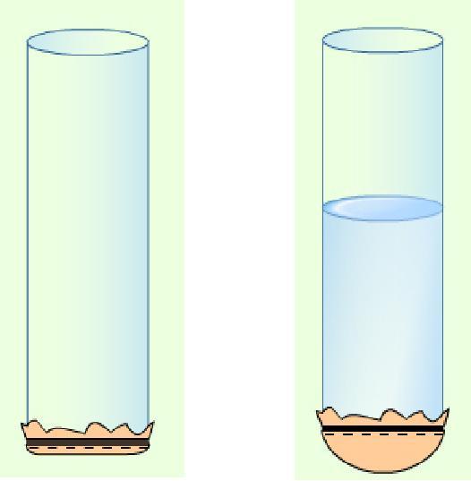 沪粤版八年级下册物理授课讲义:研究液体的压强 - 知乎