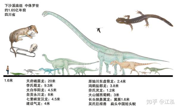中国63种恐龙图片