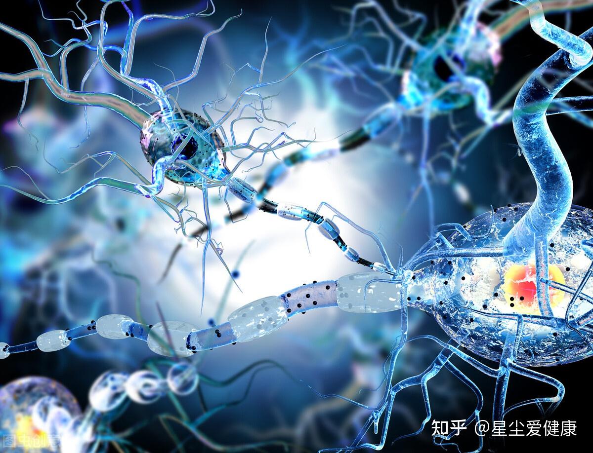 主要特点为大脑高级神经中枢和植物神经的功能失调,表现涉及心血管