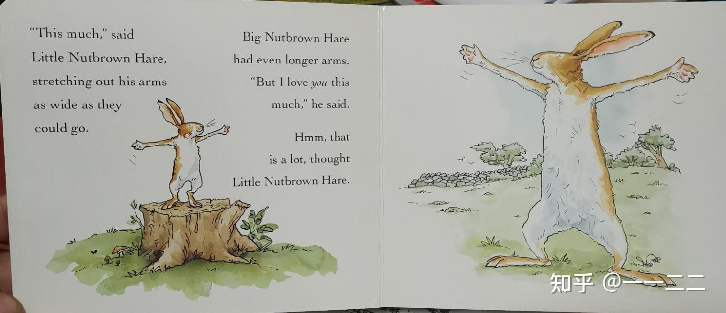 国内引进的原版英文绘本和中文翻译版有哪些区别