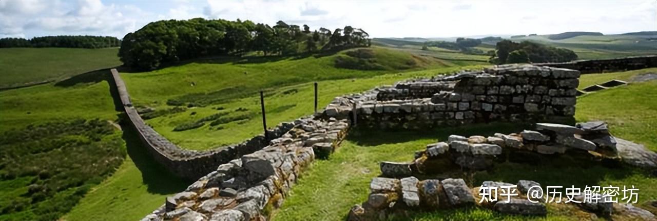 美杜姆金字塔发现"鹅"画,专家看过后说:这种动物不存在了