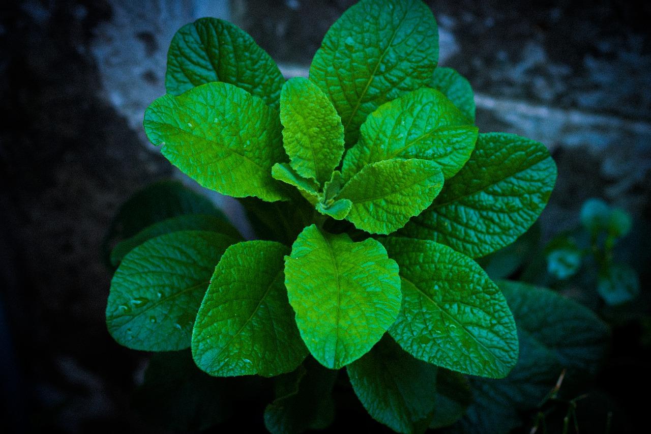 2. 美工刀片规格