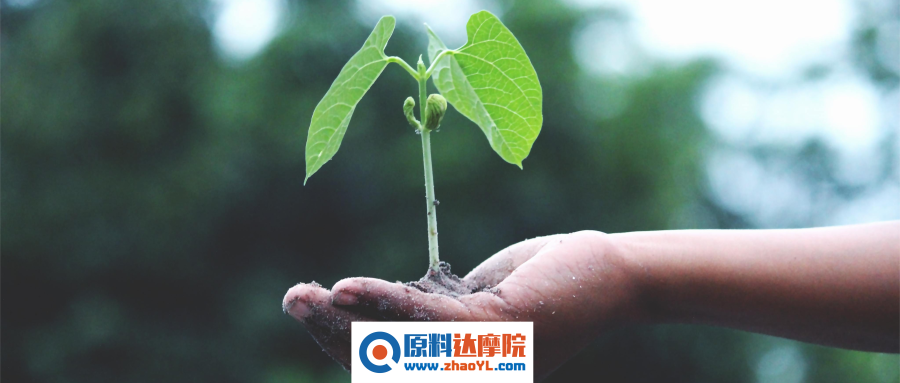 浅谈植物干细胞提取物的抗衰老性能 知乎