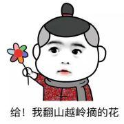 Zhihu profile picture for @stabilized