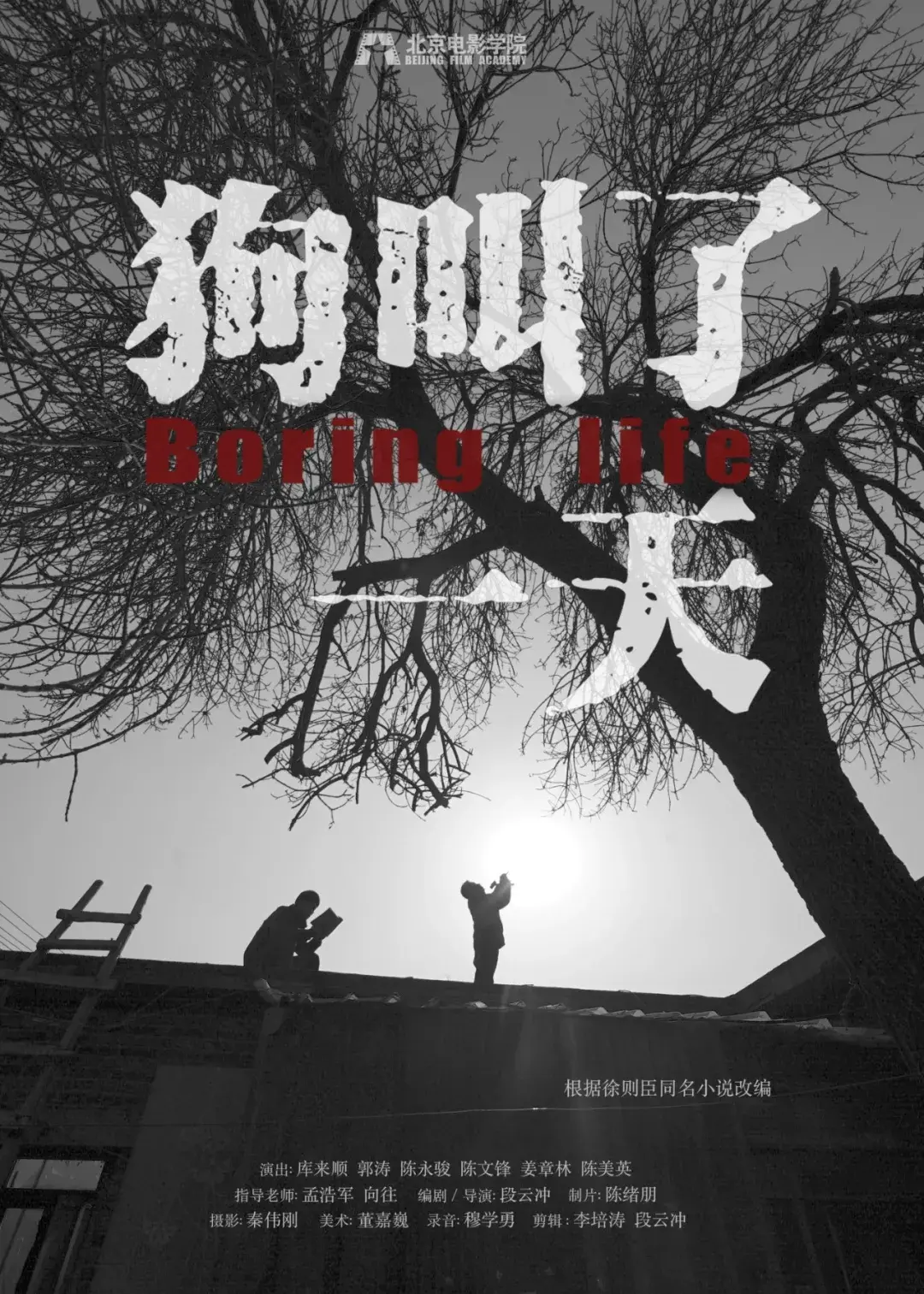 现在电影短片季推出惊喜片单让每一部佳作都被看见