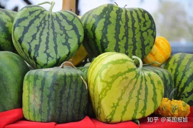 全世界的瓜都被我们承包了?外国人吃瓜竟然不拿勺子挖! - 知乎