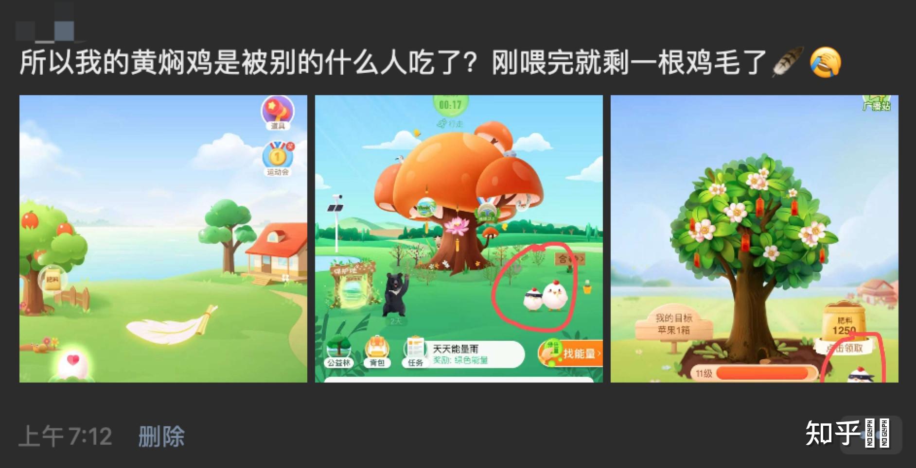 蚂蚁庄园的小鸡怎么只剩鸡毛了不能找回