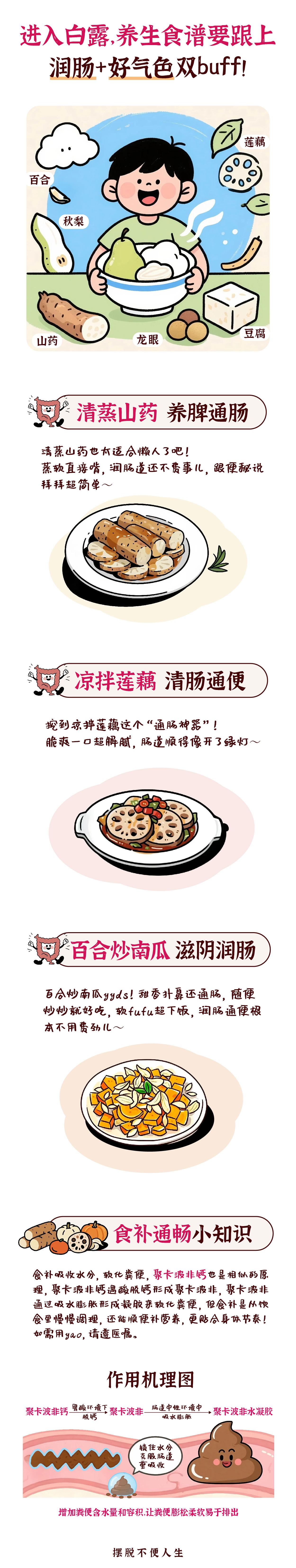白露节气后,空气干燥,如何养生润肠胃? - 知乎