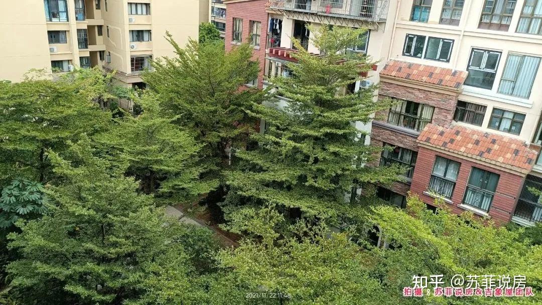 改善型楼盘详评019天健上城