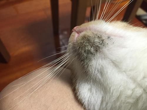 v2-71048d3a0f123dd48d88b22ebf9b1adf_1440w.jpg?source=172ae18b