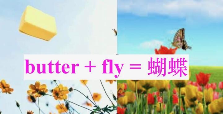 每天快乐一分钟英语(A fly can fly. 中文意思?) - 知乎