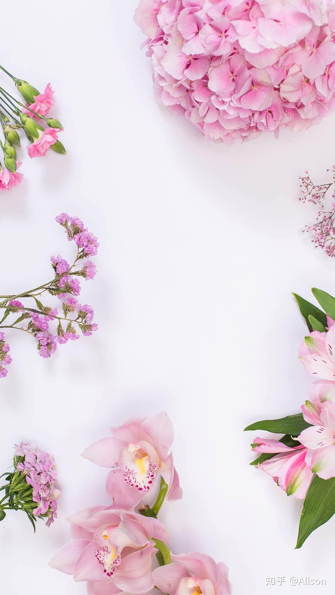 干净有逼格的手机壁纸(花花草草篇)