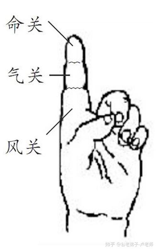 虎口三关次指三节风气命