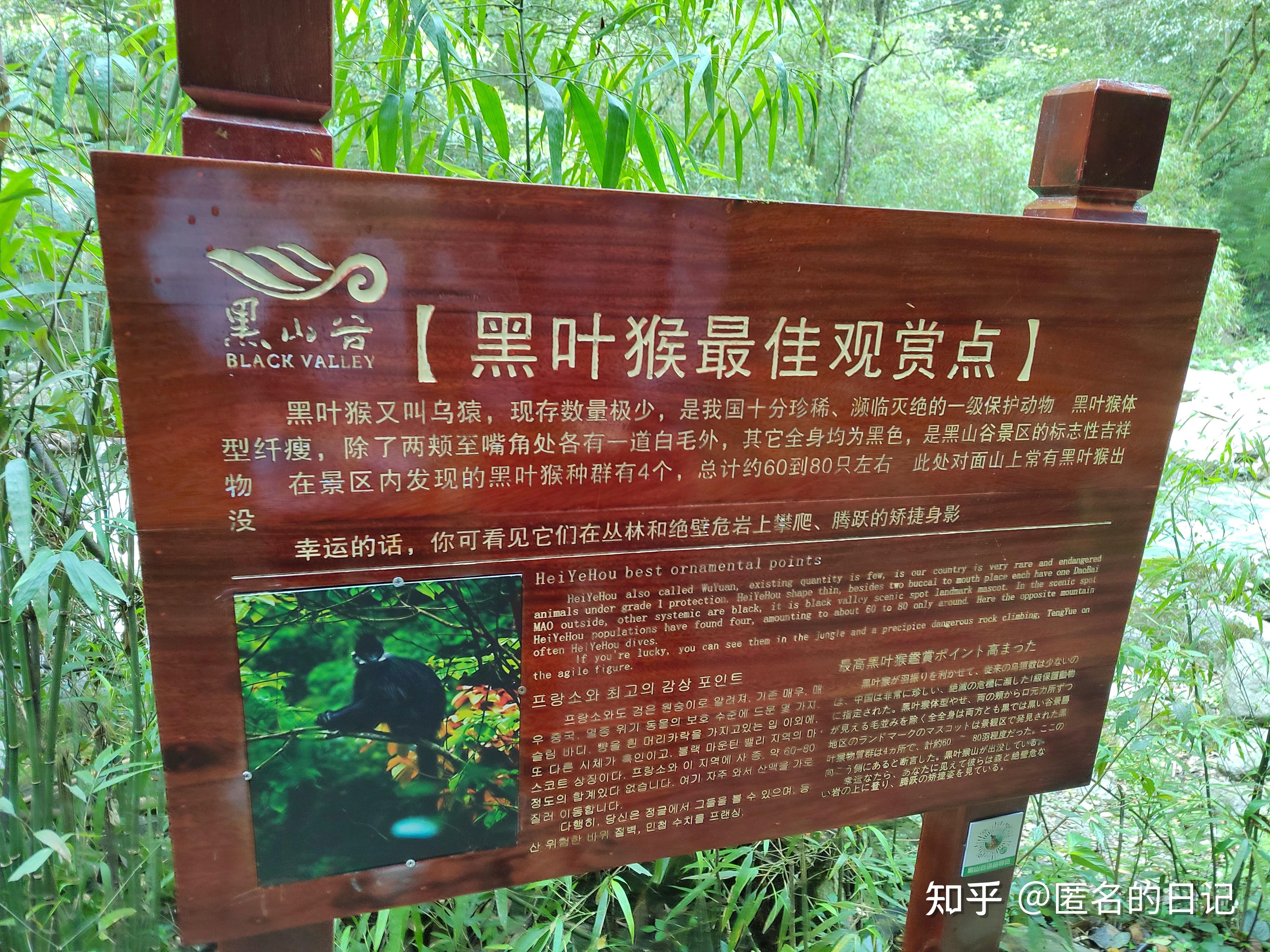 黑山旅游景点介绍图片