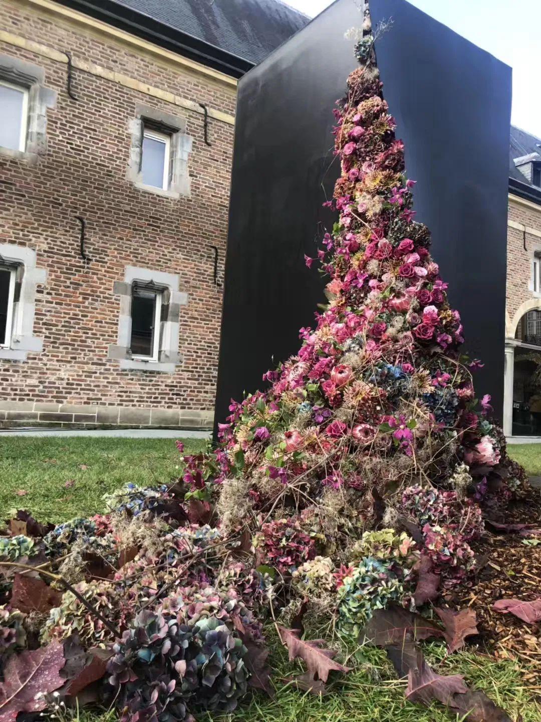 阿邝的感悟借一花一叶来让更多人感受生活的美好