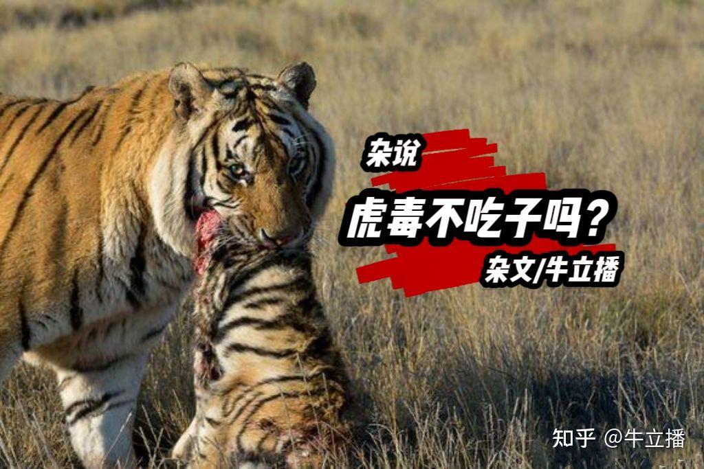 杂说:虎毒不食子吗? - 知乎
