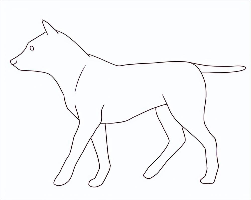 可爱小狗如何画教你用基础的方法绘制小狗