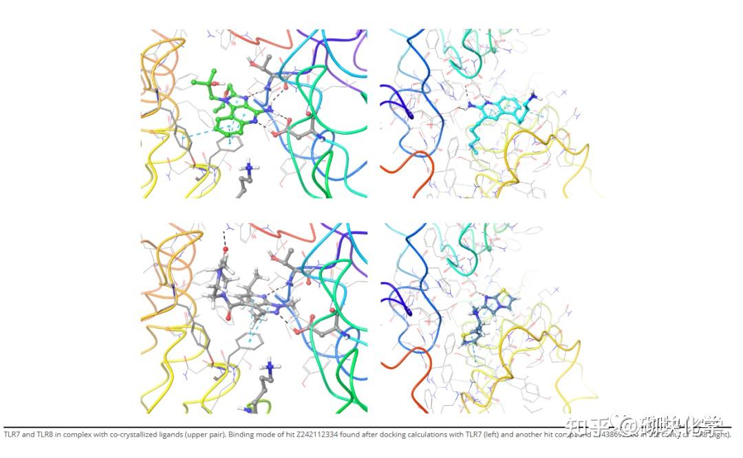 基于药物的设计——高质量分子库的重要性(27)Immuno-Oncology Library - 知乎