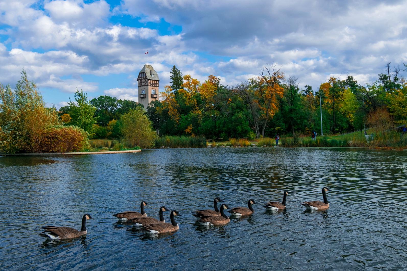 加拿大温尼伯有什么好玩的地