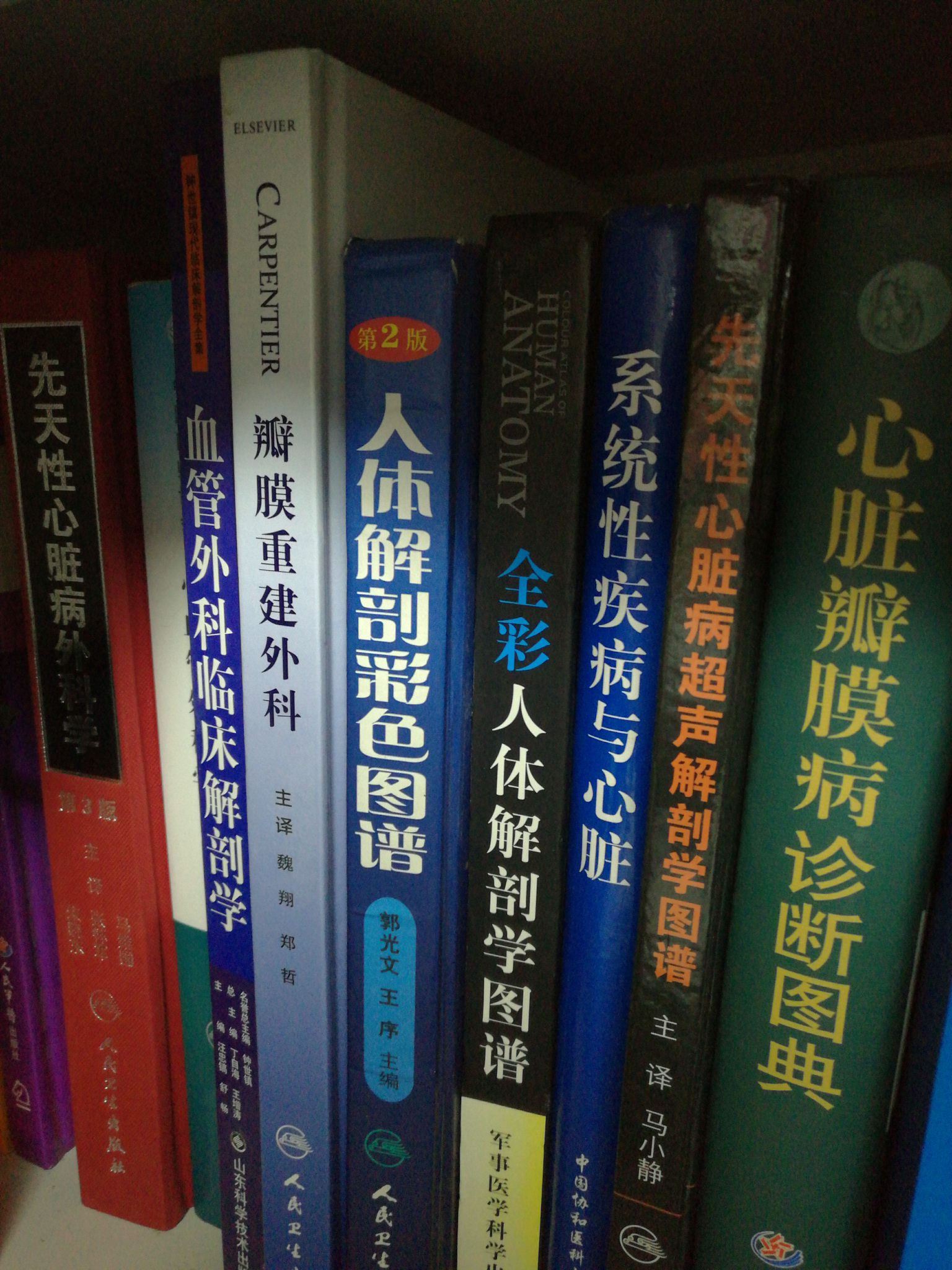 高中生医学小白想当心胸外科医生有哪些入门书籍比较好