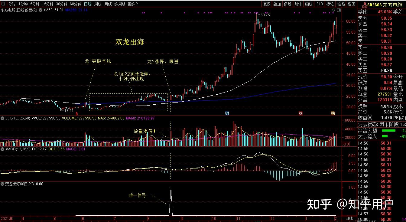 双龙出海招式图图片